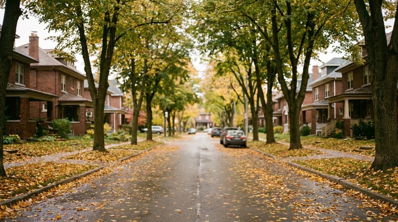 A tree-lined residential street in Toronto